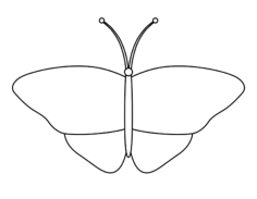 Simple Butterfly Black Outline Art Coloring Pages Pdf, Free Vectors File